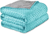 30LB Weighted Blanket for Adults – Aqua Microfiber, 86x90, All-Season Comfort
