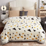 European Style Warm Raschel Blanket for Winter – Luxury Thick Double-Sided Flocked Comforter